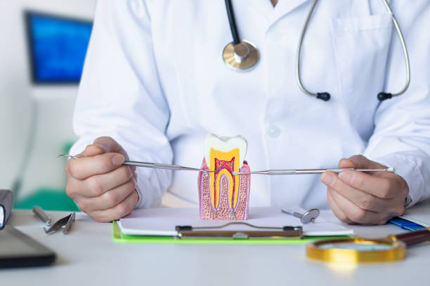 Best Emergency Dentist for Lost Fillings or Crowns in Ridgebury, CT